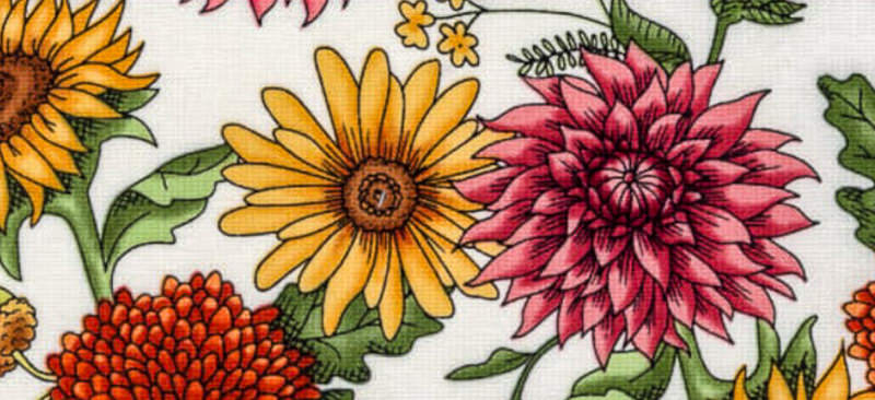 Photo of Singer Sewing Center of Corpus Christi