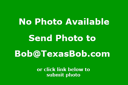 Photo of Ladybug Quilt Fabric